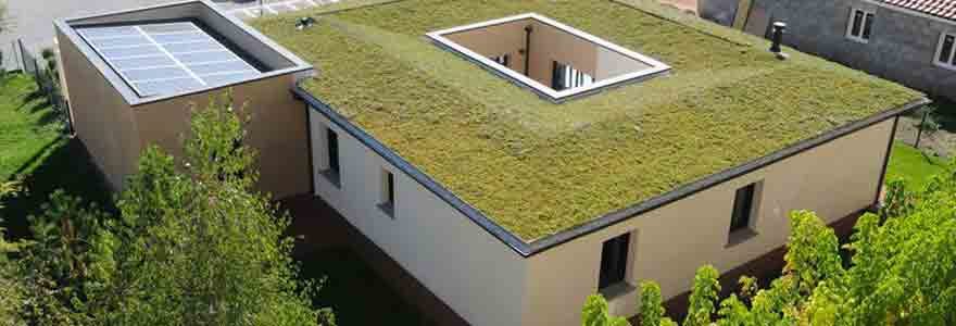 aménagement d'un toit végétalisé